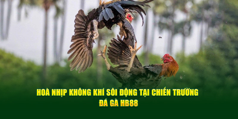 Hội tụ nhiều chiến binh đẳng cấp tạo nên không khí sôi động